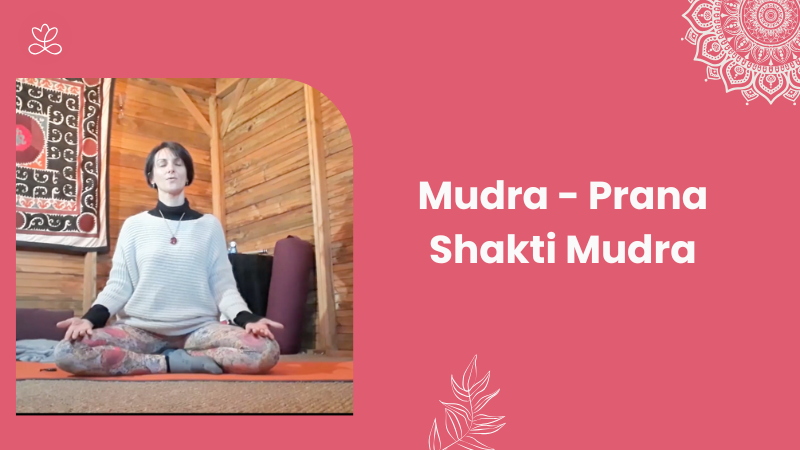 13. Mudra - Prana Shakti Mudra avec Laurence Davant